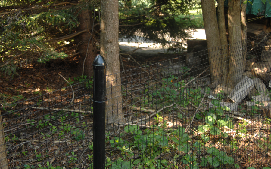 Fencing Projects project example 20